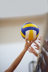 Image showing volleyball