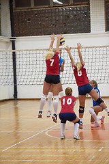 Image showing volleyball