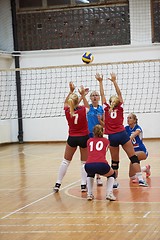 Image showing volleyball