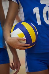 Image showing volleyball