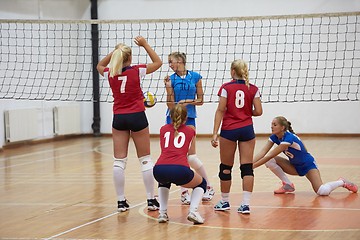 Image showing volleyball