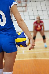 Image showing volleyball