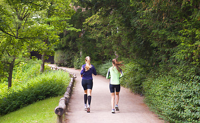 Image showing Running in the park