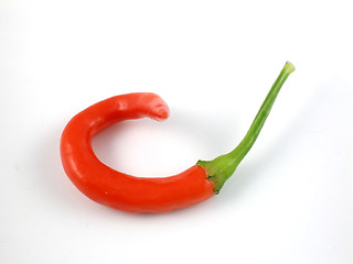 Image showing Cayenne pepper