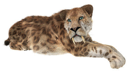 Image showing Big Cat Smilodon