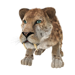 Image showing Big Cat Smilodon