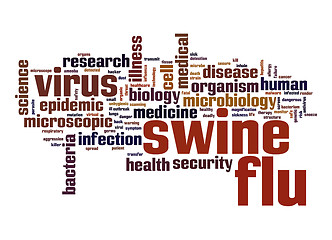 Image showing Swine flu word cloud