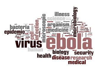 Image showing Ebola virus word cloud