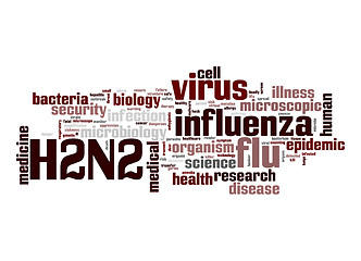 Image showing H2N2 word cloud