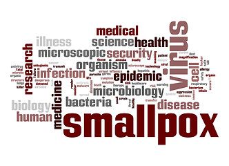 Image showing Smallpox virus word cloud
