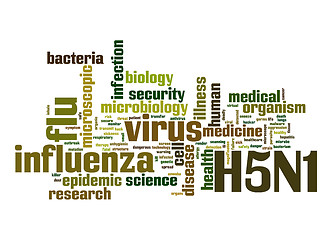 Image showing H5N1 word cloud