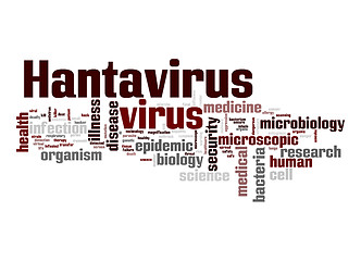 Image showing Hantavirus virus word cloud