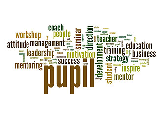 Image showing Pupil word cloud