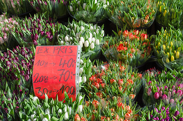 Image showing Tulips with price label