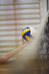 Image showing volleyball