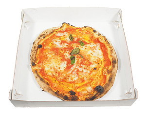 Image showing Margherita pizza background isolated