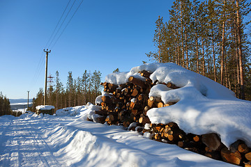 Image showing Deforestation in the clearing of power line