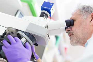 Image showing Senior scientist  microscoping in lab.