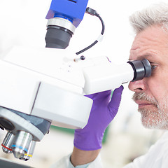 Image showing Senior scientist  microscoping in lab.