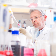 Image showing Life scientist researching in the laboratory.