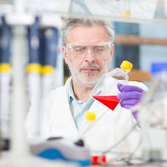 Image showing Life scientist researching in the laboratory.