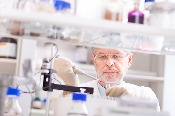 Image showing Life scientist researching in the laboratory.