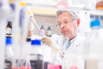 Image showing Life scientist researching in the laboratory.