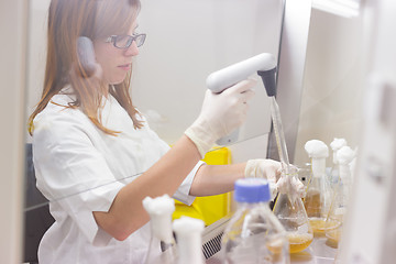 Image showing Life scientist researching in the laboratory.