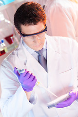 Image showing Researcher pipetting in laboratory.