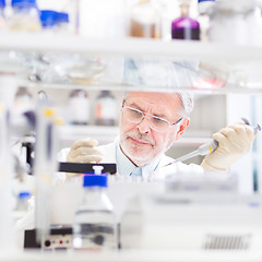 Image showing Life scientist researching in the laboratory.