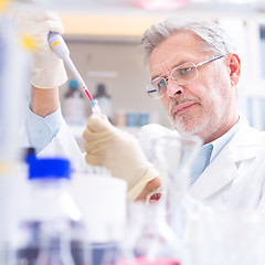 Image showing Life scientist researching in the laboratory.