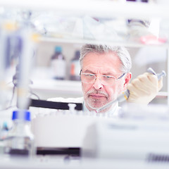 Image showing Life scientist researching in the laboratory.