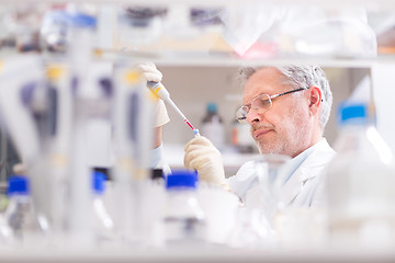 Image showing Life scientist researching in the laboratory.