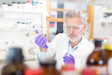 Image showing Life scientist researching in the laboratory.