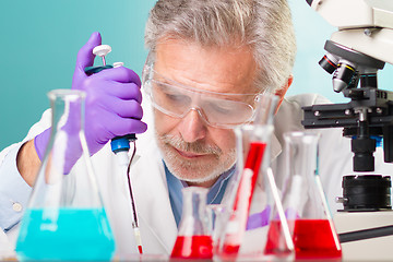 Image showing Life science research.