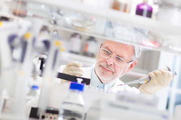 Image showing Life scientist researching in the laboratory.