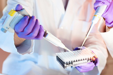 Image showing Multi channel pipette pipetting.