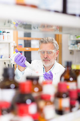 Image showing Life scientist researching in the laboratory.