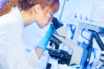 Image showing Young chemist in the laboratory.