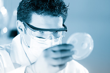 Image showing Scientist observing petri dish.