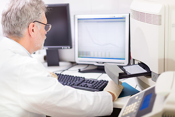 Image showing Life scientist researching in the laboratory.