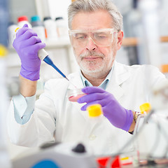 Image showing Life scientist researching in the laboratory.