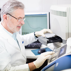 Image showing Life scientist researching in the laboratory.