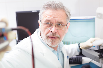 Image showing Life scientist researching in the laboratory.