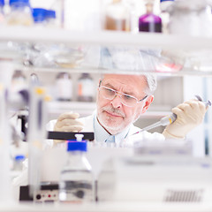 Image showing Life scientist researching in the laboratory.