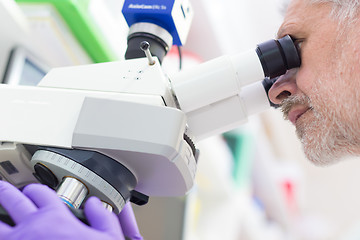 Image showing Senior scientist  microscoping in lab.