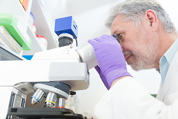 Image showing Senior scientist  microscoping in lab.