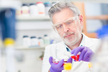 Image showing Life scientist researching in the laboratory.