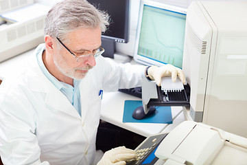 Image showing Life scientist researching in the laboratory.