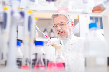 Image showing Life scientist researching in the laboratory.